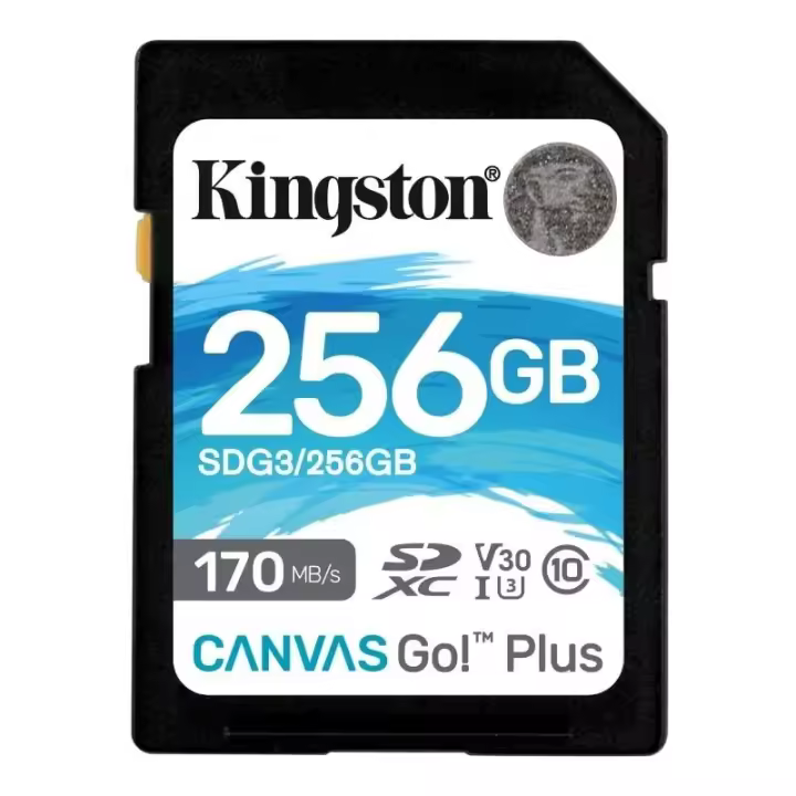 Kingston Canvas Go! Plus SD 256GB class 10 U3 V30 - 1