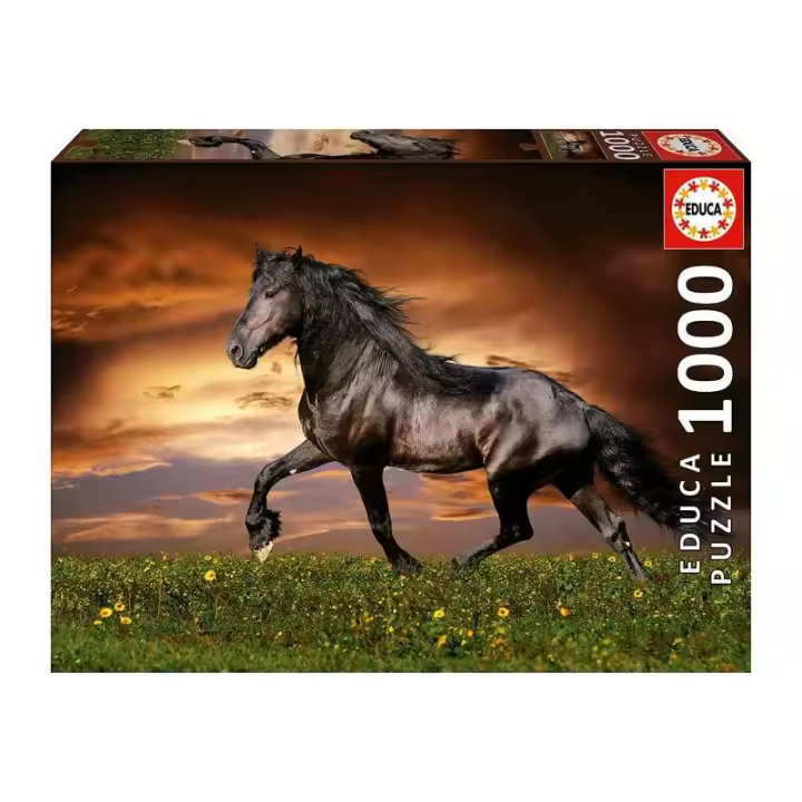 PUZZLES 1000 PIEZAS CABALLO AL TROTE DE EDUCA - 1