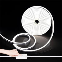 Tira De Lámpara Neón LED Impermeable Dimmable DC12V/24V Con Enchufe EU Para Iluminación Interior Y Exterior 1M 2M 3M 5M 10M - details 8