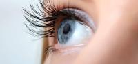 Acuvue Oasys with Hydraclear lentes de contacto quincenales de Johnson & Johnson en pack de 12 unidades en Radio 8,40 - details 2