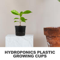 10pcs Copas De Red Para Jardín Cesta De Red Para Plantas De Orquídeas Hidroponía Aquaponia Cultivo Orgánico Red Con Orificios - details 5
