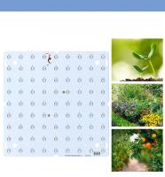 Lámpara De Cultivo De Plantas LED De 200W Espectro Completo Para Suculentas Jardín De Hojas Frutas Verduras Flores Iluminación De Relleno - details 6