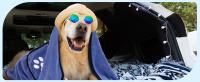 Nobleza Toalla para Perros, Suave y Duradera, Ultra Absorbente, de Secado para Perros Grandes y Pequeños, medidas 106 x 66cm, de Microfibra. - details 13