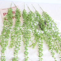 1PC Cadena De Perlas Artificial De Suculentas Colgantes Para Bodas Y Decoración De Hogar Para Sala De Estar Y Dormitorio - details 12