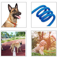 Correa Y Collar De Nylon Duradero Para Perros Medio Y Grande 2 En 1 Ajustable Cómodo Con Anillo De Solución Para Mascotas - details 9