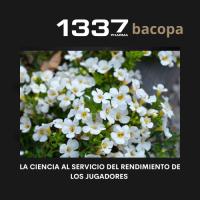 BIO RECHERCHE FOCUS 1337PHARMA Complemento Alimenticio para la Concentración óptima y la Toma de Decisiones - details 2