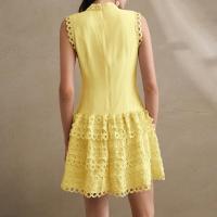 Vestido Mini De Encaje Con Agujeros Huecos Para Mujer Cuello Erguido Sin Mangas Cintura Alta Spliced Botones Estilo Vintage - details 10