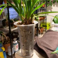 Maceta transparente de 5 pulgadas y 8 piezas para flores, maceta de orquídeas de plástico con agujeros, para plantas altas, decoración del hogar y tienda de flores - details 7