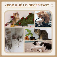 PawHut Árbol Rascador para Gatos Mediano Árbol para Gatos de 3 Niveles Torre para Gatos con Postes de Sisal Tablero para Rascar y Bola Colgante Crema - details 5