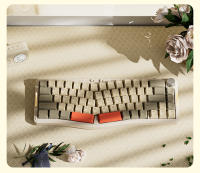 AJAZZ AKS068 Struktura Uschelke Alice68 Teclado Mecánico RGB Modo Triple Hot Swap Ergonómico 68 Teclas Sea Salt Shaft - details 15