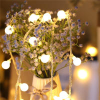 Cadena De Luces LED De Bola Con Batería 6M Para Decoración De Jardín Fiesta Bodas Y Navidad Autónoma Apto Para Exterior - details 4