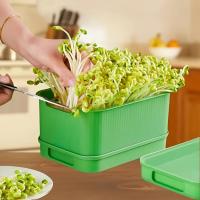Suelo Sprout Grower Box Elegante Y Compacto Ajuste Universal Para Cocinas Y Hogares Cultiva Verduras Frescas Sin Esfuerzo - details 1