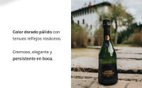 Codorníu Ars Collecta Jaume Codorníu - Cava Gran Reserva - Botella 75cl - details 3