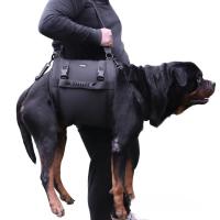 Silla Portátil Para Perro Soporte De Piernas Traseras Y Cadera Para Ancianos Y Perros Llorosos Ayuda En La Rehabilitación Y Levantamiento - details 7
