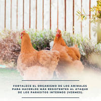 Compriverm Comprimidos Naturales para Prevención de Vermes en Aves de Corral - Suplemento Nutricional - Mejora la Salud Intestinal - Finca Casarejo - details 2