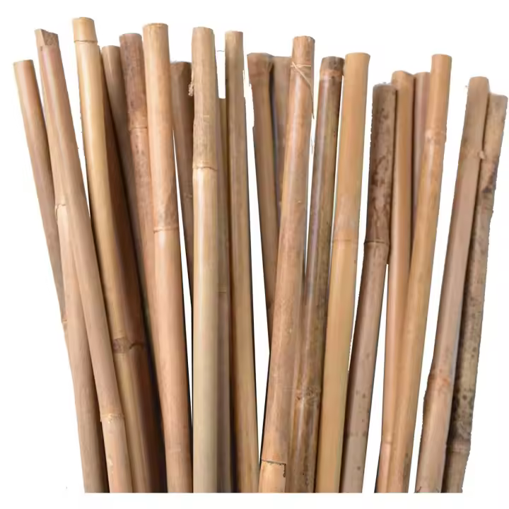 C.A - Tutores de Bambú| Varillas de Bambú Resistentes para Plantas, Árboles y Hortalizas | Soporte para Plantas, Tomates | Tutores para Plantas trepadoras - 1