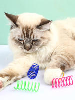 Juguetes Para Gatos 16pcs Coloridos Sprials De Plástico Duraderos Interactivos Para Gatos Y Gatitos Herramientas De Sprials Para Gatos - details 6