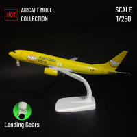 Modelo De Avión De Metal 1:250 Replicado Mercado B737 Decoración Artística Miniatura Coleccionable De Aviación Para Adultos - details 0