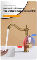 Grifo De Baño De Cobre Antiguo Con Mangue De Craneo Mezclador De Agua Caliente Y Fría Torneira Contemporánea 855971 Montaje En Superficie - details 5