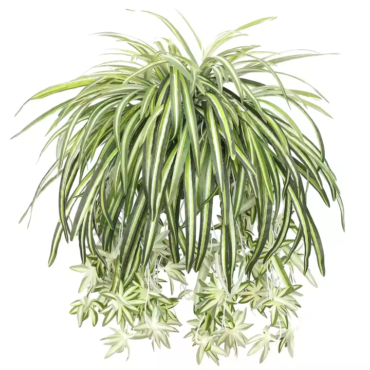 1pc Chlorophytum Artificial Colgante Planta Falsa De Plástico Para Decoración De Jardín Y Pared De Hogar Verde Sintético Para Exterior Y Interior - 1