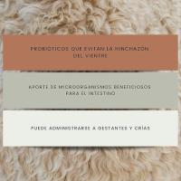 FINCA CASAREJO Suplemento Alimenticio Natural Rumidigest 3kg - details 1