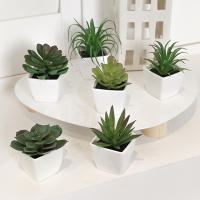 Juego De Macetas De Plástico Evergreen Para Decoración De Escritorio Y Oficina Estilo Suculentas Sin Mantenimiento Realista - details 0