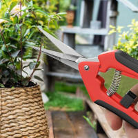 Tijeras De Jardín Airaj Antideslizantes Y Labor-Saving Para Ramas De Flores Y Frutas Con Hojas De Acero Inoxidable Y Mango De Goma - details 3