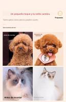 Set De Tijeras Profesionales Para Peluquería De Mascotas Corte De Pelo Para Perros Poodle Teddy Kit De Peluquería De Perros Curvadas Y De Afinado - details 6