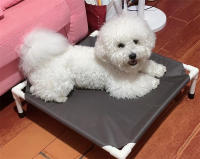Cama De Camping Para Perros Y Gatos Cama Elevada Plegable Lavable Y Portátil Hogar Para Pupusas Colchón Para Perros Malla De Hamaca - details 9