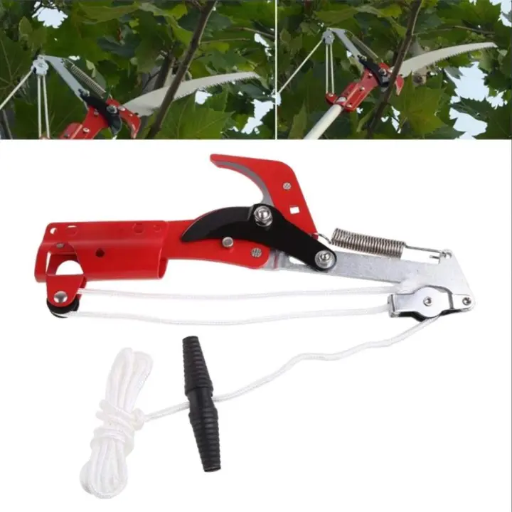 Tijeras De Extensión Para Ramas Altas Herramienta De Podar Árboles Para Frutas Corte De Ramas Hasta 3cm Con Cepillo Antideslizante - 1