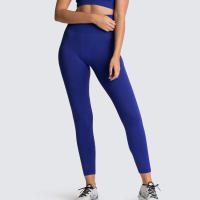 Leggings De Yoga Sin Costuras Para Mujer Levantador De Glúteos Deportivos De Fitness Y Gimnasio Pantalones De Running Terciopelo De Nylon De Cintura Elástica - details 8