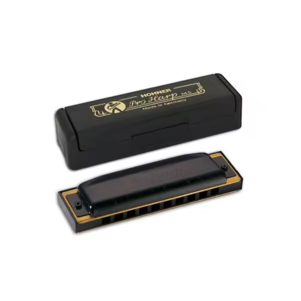 Armónica Hohner Pro Harp 20V 562/20 (Db) - 1