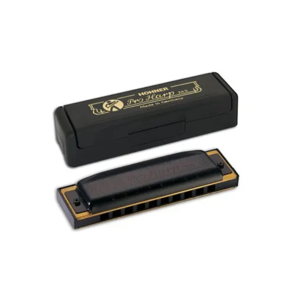 Armónica Hohner Pro Harp 20V 562/20 (Db) - 1