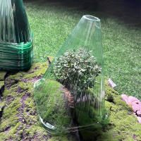 10PCS Cubiertas Protectoras Para Plantas De Jardín Y Paseo Multifuncionales Suministros DIY Para Jardín Y Yarda - details 11