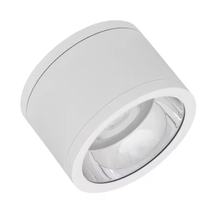 Ledvance-Osram | [LVE-4058075769045] LEDVANCE Plafón LED Exterior   30W 3150Lm 3000K 36º IP65/IP65 - 1