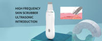 Masajeador Facial De Lifting Rejuvenecimiento De Piel Eliminación De Arrugas Mesoterapia Electroporación RF LED Fotón Cuidado De La Piel USB - details 2