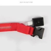 Collar LED Para Perros Ajustable Y Recargable Luminoso Para Noche Anti-Pérdida Correa De Luz Para Pequeños Perros Productos Para Mascotas - details 0