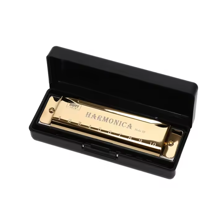 Harmonica De 10 Agujeros Organ Puzzle Instrumento Musical Para Principiantes Caja De Resina Material De Cobre Phosphor Bronce - 1