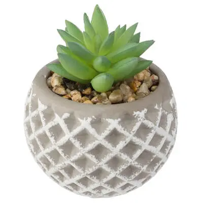 Factory Cuadros Suculenta Artificial Maceta de Cemento H9cm - Decoración Moderna - 1