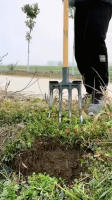 Pala De Jardín De Acero De Mánganeso Para Suelo Suave Herramienta De Agricultura Con Cuatro Dientes Para Desbrozar Y Girar Tierra Manual - details 12