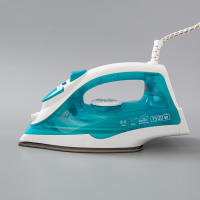 Plancha de vapor de cinco velocidades con vapor + pulverizador de agua + plancha de vapor de mano autolimpiable, máquina de planchado con certificación europea. - details 21