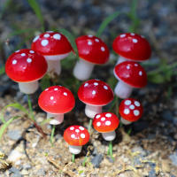 20Pcs Miniaturas De Setas Artificiales De Resina Para Jardín Faeérico Paisaje De Mostrador MicroLandscape Decoración De Terrario - details 5