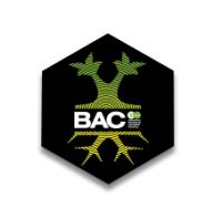 Organic PK Booster 500ml BAC Estimulador de floración orgánico. - details 1