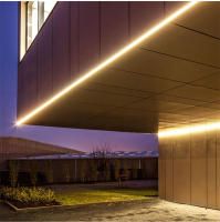 Tira De LED COB Alta Brillante CRI RA90 288leds/M 110V 220V Impermeable Para Jardín Exterior Decoración De Cocina Y Habitaciones - details 10