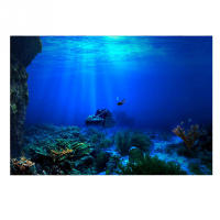Pintura Decorativa Para Acuario Paisaje Oceánico Con Plantas HD Adorno De Fondo Para Tanque De Peces Pegatina De Litoral Marino - details 1