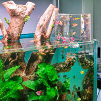 Tanque De Peces De Acrílico Transparente Con Presión Negativa Decoración Ecológica Para Escritorio Ideal Para Oficina Y Hogar - details 7