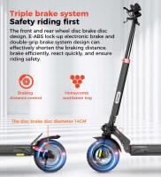 iScooter IX4 Patinete Eléctrico 10'' Neumáticos de Panal 800W Motor 45km/h Velocidad Máxima 48V 15Ah Batería 40-45km Alcance Control de Aplicación - details 23