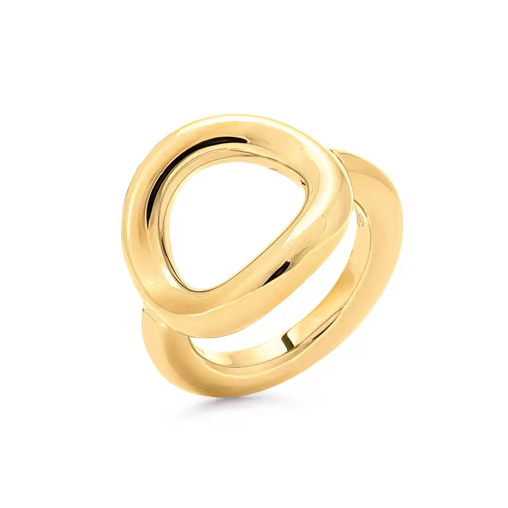 Anillo Folli Follie Mujer 1R17T011Y-42 - 1