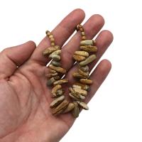 Viva Esencia – Collar de Gemas Naturales de Piedra Mapa | Diseño Largo con Fragmentos Irregulares | Estilo Bohemio Artesanal | Energía Natural y Conexión con la Tierra | Ideal para Regalos Especiales - details 1