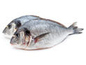 4 Kg-Pienso para Gatos Ownat Classic Fish con Pescado - details 1